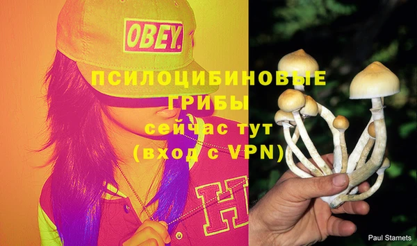 гашишное масло Балахна